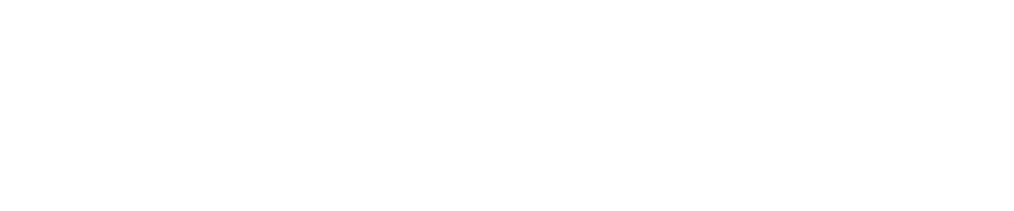 Profesjonalny Opiekun Kotów